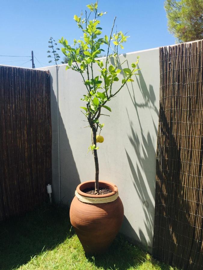 Los Tilos Alcossebre Exterior foto